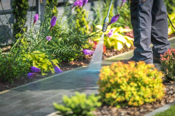 Trusted Graysville, AL Pressure Washing Experts