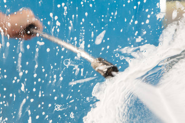 Animal Enclosure Cleaning in Graysville, AL